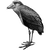 tungngum profile image