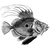 sebastiankruger4 profile image