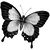 scacaacac342352 profile image