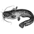 ascacaca4544 profile image