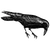 xdvsvsvsvs4 profile image