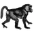 scaca90305 profile image