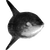 adadva345 profile image