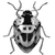 sacacasc4535 profile image