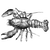 scacas4335 profile image