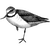 csaca536 profile image
