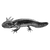 sacas4354 profile image