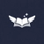 whennotesfly profile image