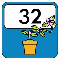 32 Week Community Wellness Streak
