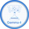 Gemma 4 Challenge Winner Badge