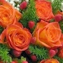 anamika_bajpai_1991 profile